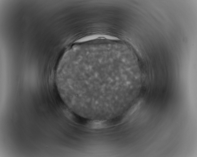 X0000086920093200705141731