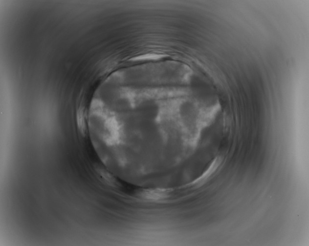 X0000086920094200705141731