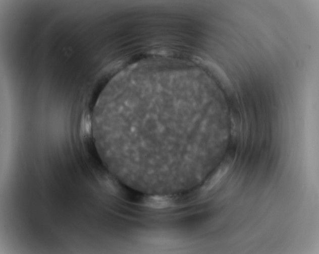 X0000086920095200705141731