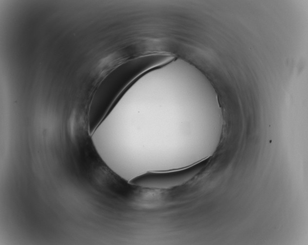 X0000086920096200705141731