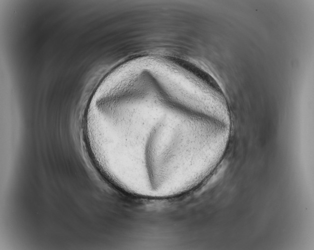 X0000086920097200705141730