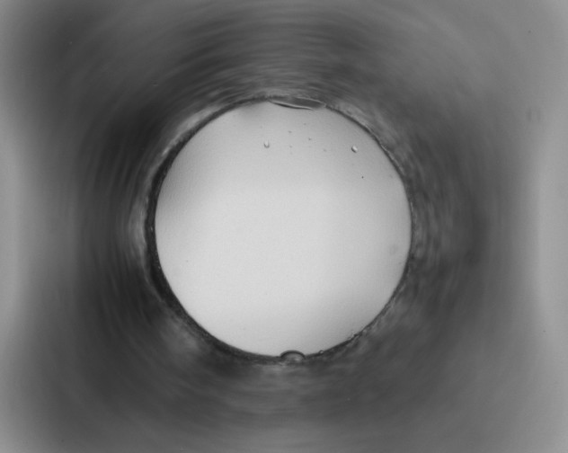 X0000086920098200705141730