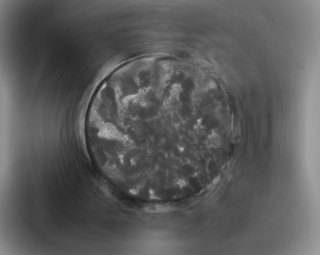 X0000086920099200705141730
