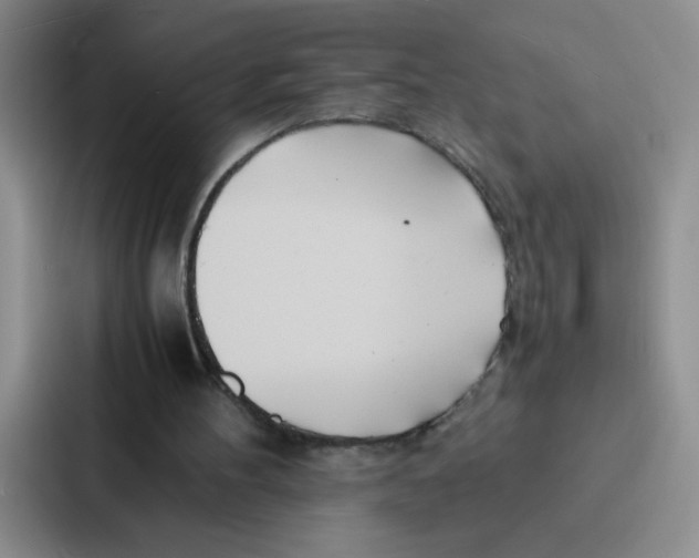 X0000086920100200705141730