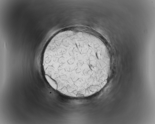 X0000086920103200705141730