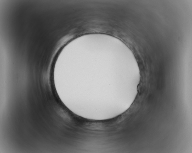 X0000086920104200705141730