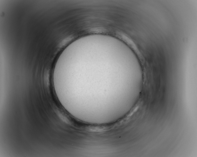 X0000086920106200705141730