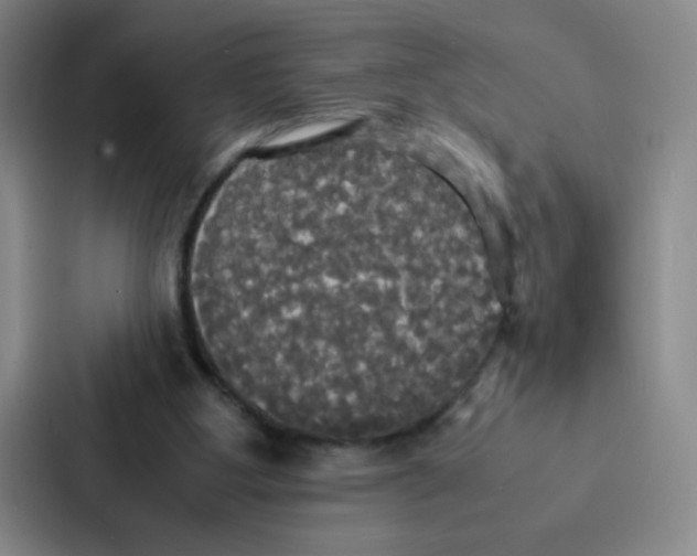 X0000086920107200705141730