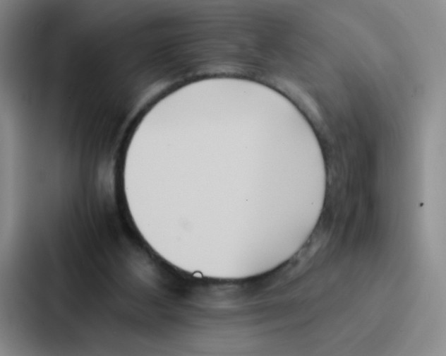 X0000086920108200705141730