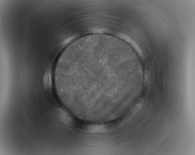 X0000086920110200705141730