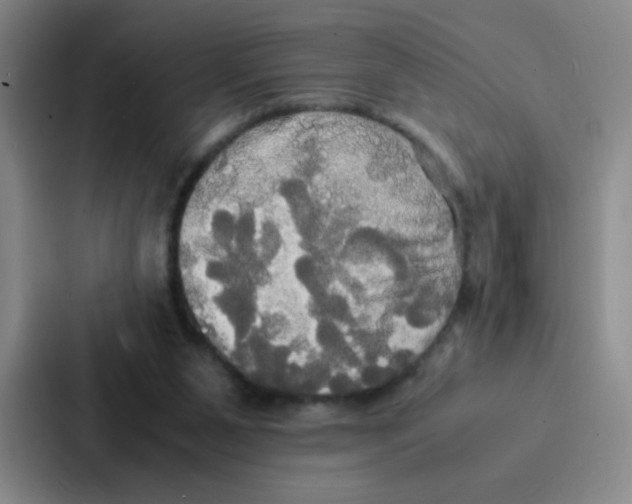 X0000086920111200705141730