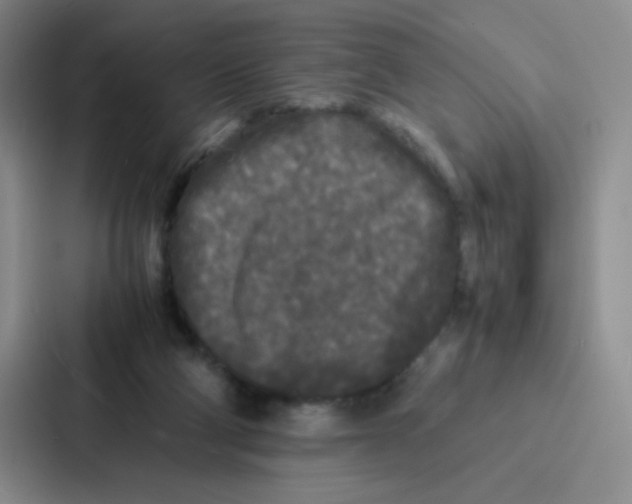 X0000086920114200705141730