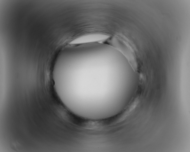 X0000086920117200705141730
