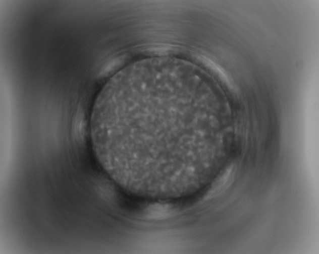 X0000086920119200705141730