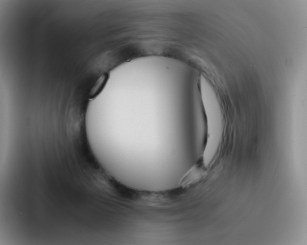 X0000086920125200705141730