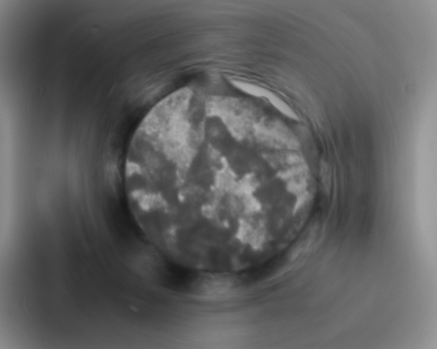X0000086920127200705141730