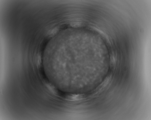 X0000086920130200705141730