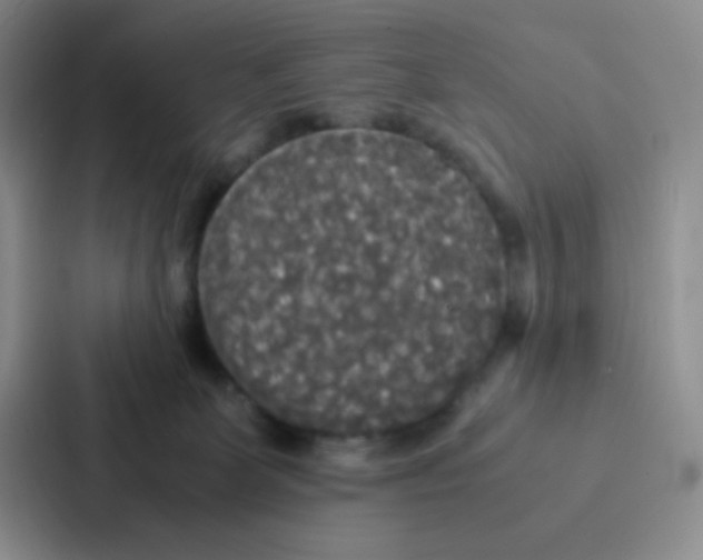 X0000086920131200705141730