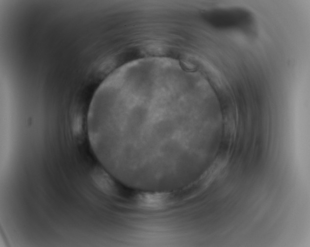 X0000086920134200705141730
