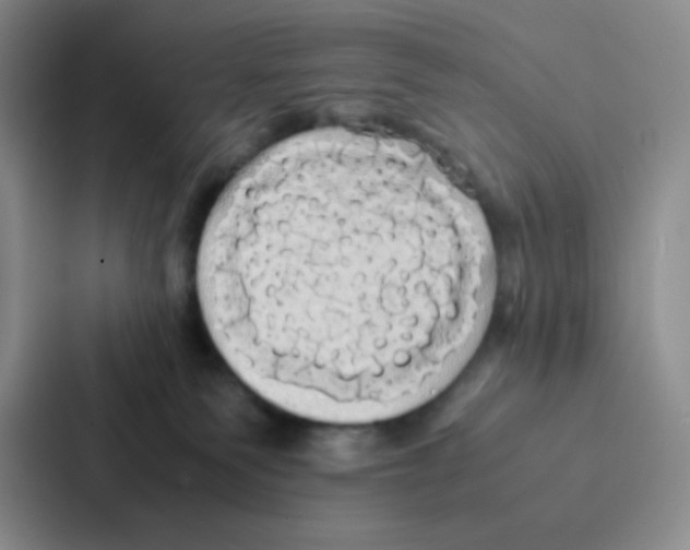 X0000086920135200705141730