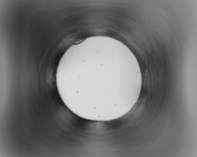 X0000086920140200705141730