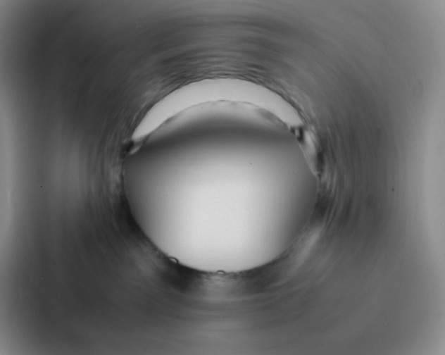 X0000086920141200705141730