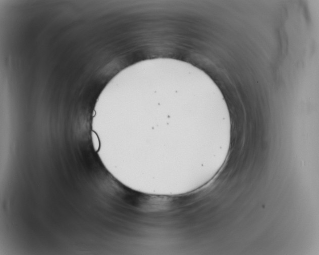 X0000086920144200705141730