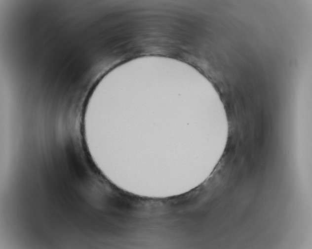X0000086920146200705141729