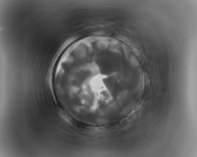 X0000086920147200705141729
