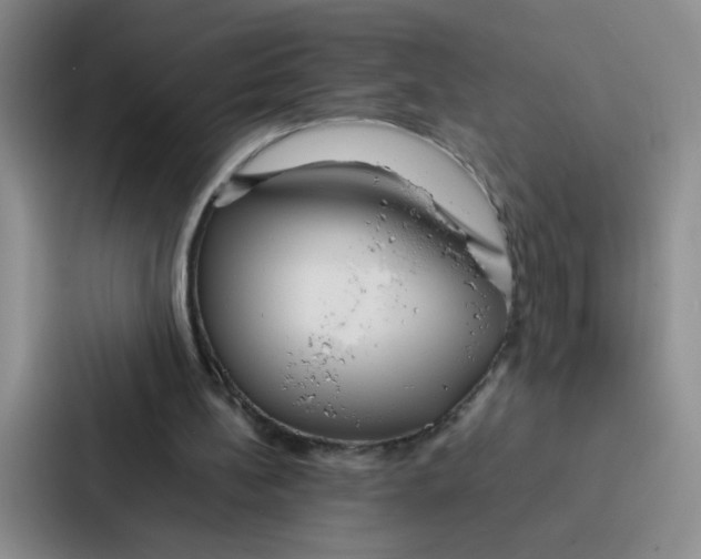 X0000086920148200705141729