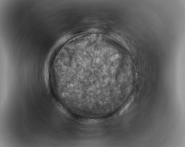 X0000086920149200705141729
