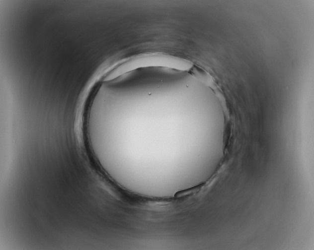 X0000086920150200705141729