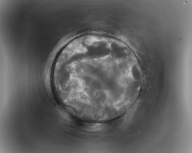 X0000086920151200705141729