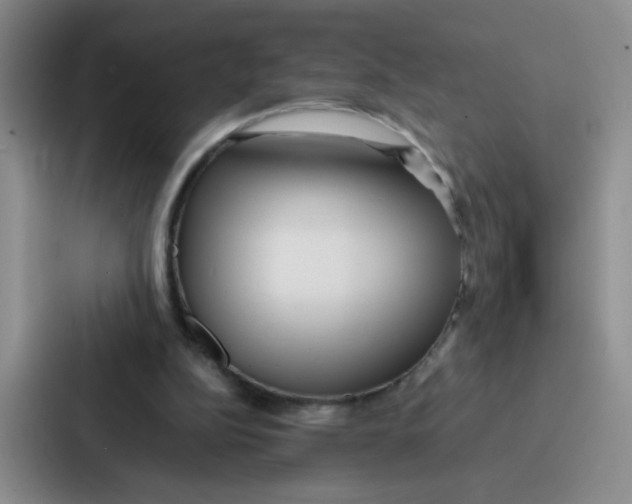 X0000086920152200705141729