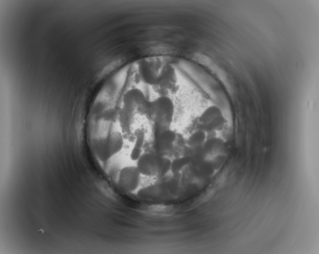X0000086920153200705141729