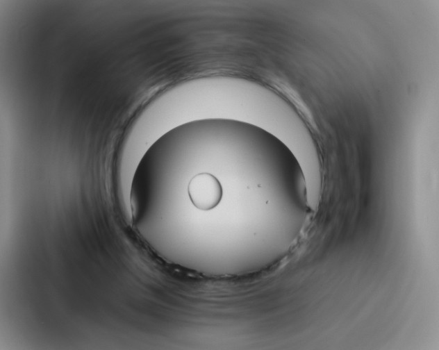 X0000086920154200705141729