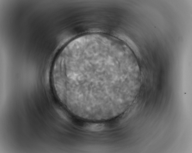 X0000086920155200705141729