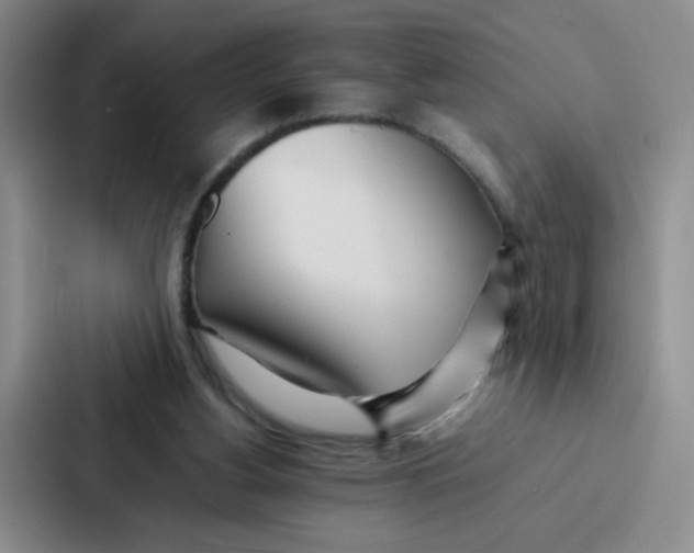 X0000086920156200705141729