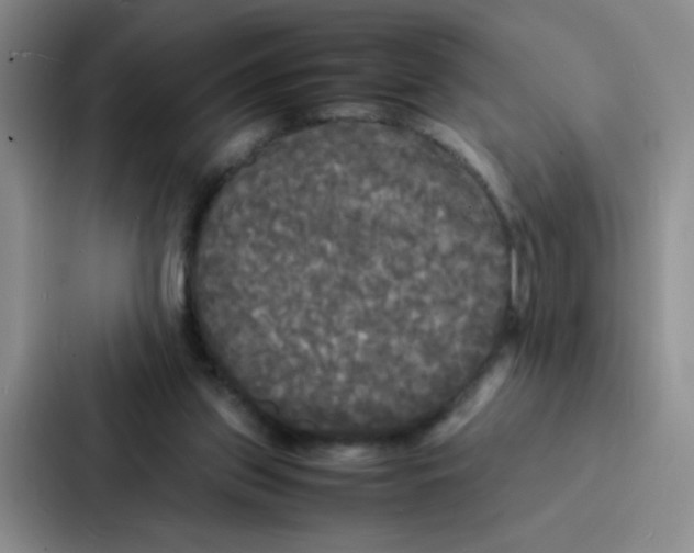 X0000086920157200705141729