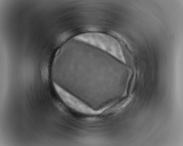 X0000086920158200705141729