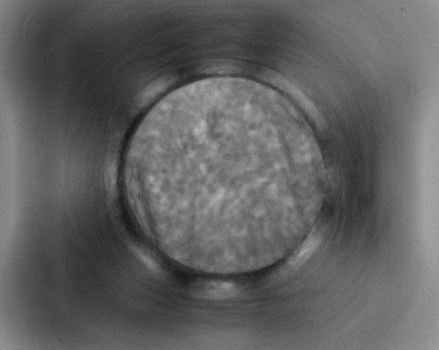 X0000086920159200705141729
