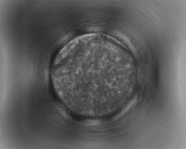 X0000086920161200705141729