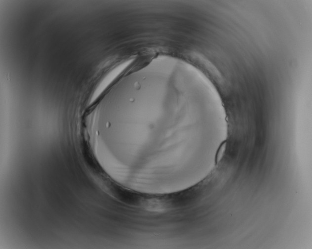 X0000086920163200705141729
