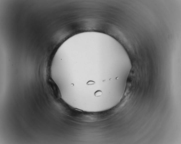X0000086920164200705141729
