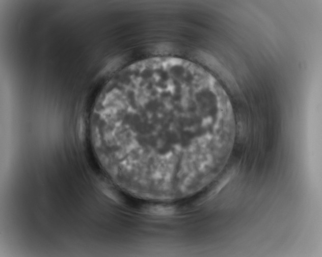 X0000086920165200705141729