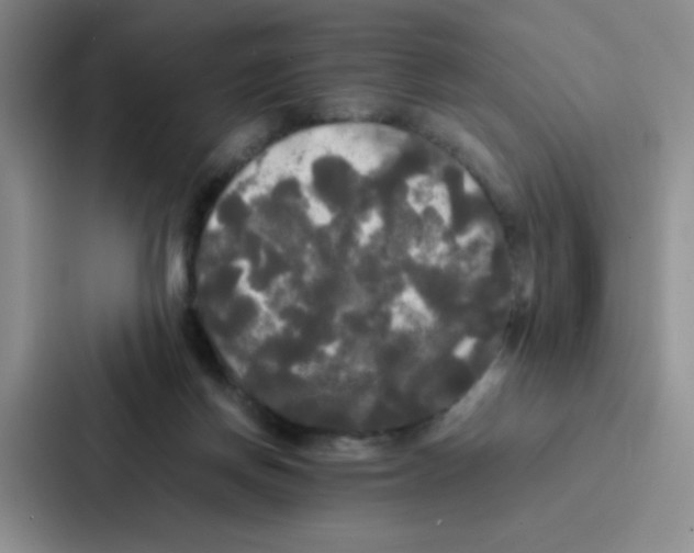 X0000086920166200705141729