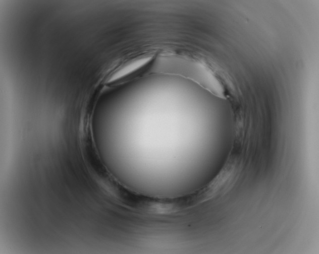 X0000086920168200705141729