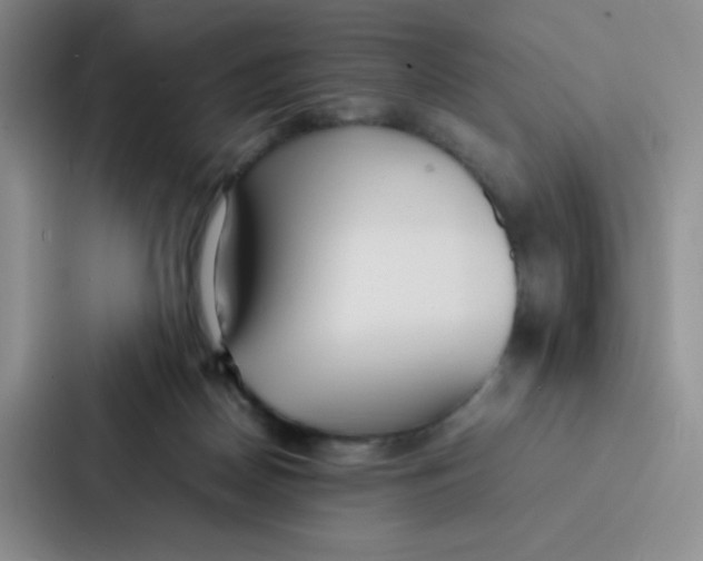 X0000086920170200705141729
