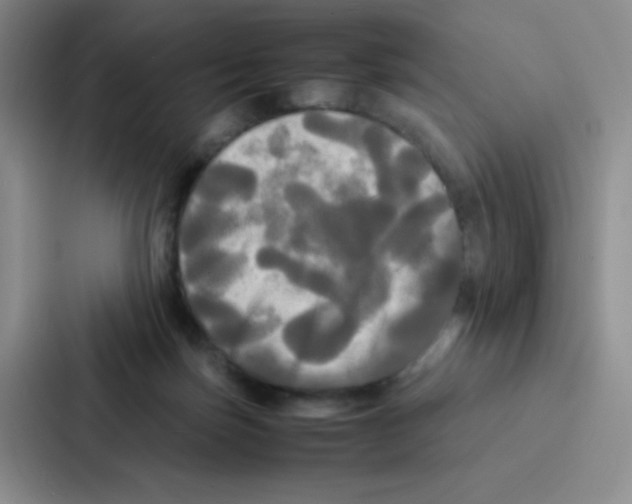 X0000086920171200705141729