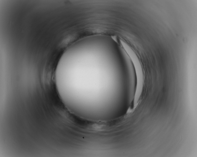 X0000086920172200705141729